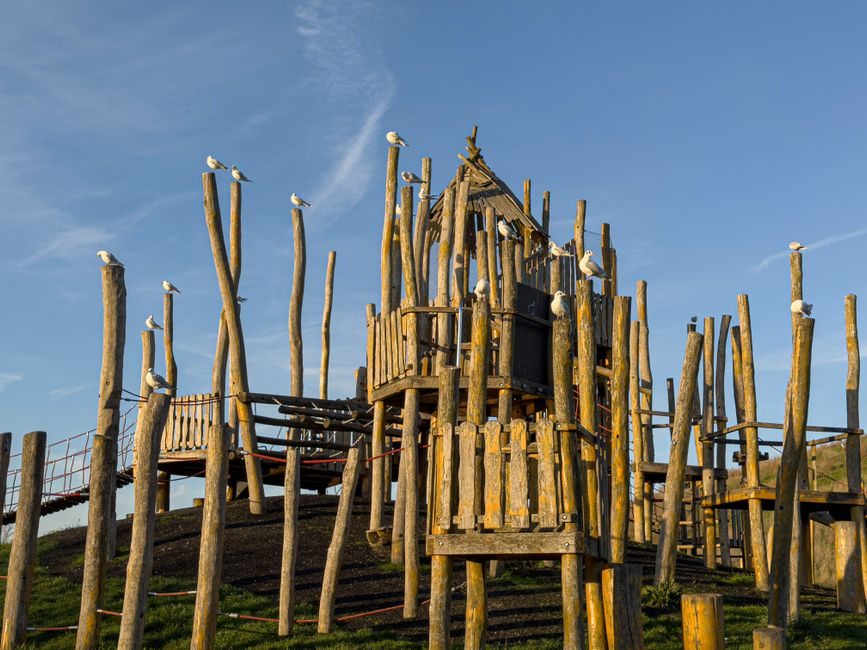 Photograph of a wooden playground structure situated outdoors on a grassy hill under a clear blue sky with a few wispy clouds. The playground is composed of irregularly shaped wooden poles, some taller than others, forming a multi-level climbing frame and lookout tower. Wooden walkways, railings, and a small enclosed area with black panels are visible, supported by sturdy logs. Several seagulls are perched on the top of the poles, some on the walkways, and others on the higher wooden posts. The environment suggests a bright, sunny day, with natural light illuminating the weathered wood and casting shadows on the grass below. This outdoor play area, with its intricate climbing design, can be associated with a house relocation or moving context where careful handling of wooden furniture or outdoor structures may be required, a process handled by companies like Removal Companies Uxbridge.
